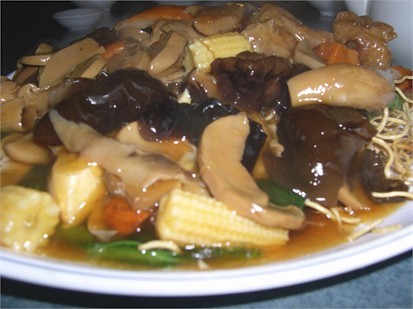 xingkong体育官网登录