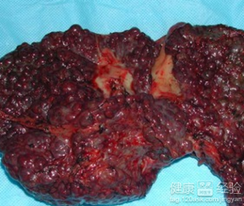 xingkong体育官网登录