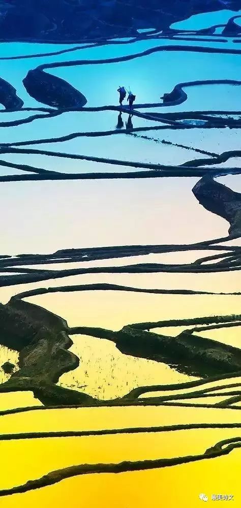 
俄罗斯军事专家分析朝鲜阅兵展示的新型坦克为什么像T‘xingkong体育官网登录’(图6)