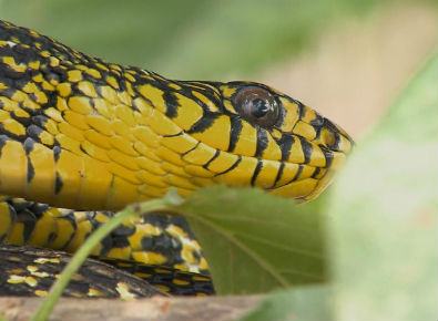 国庆第三次演练管制区周边商圈将调整营业时间-xingkong.com(图3) 国庆第三次演练管制区周边商圈将调整营业时间-xingkong.com(图3)