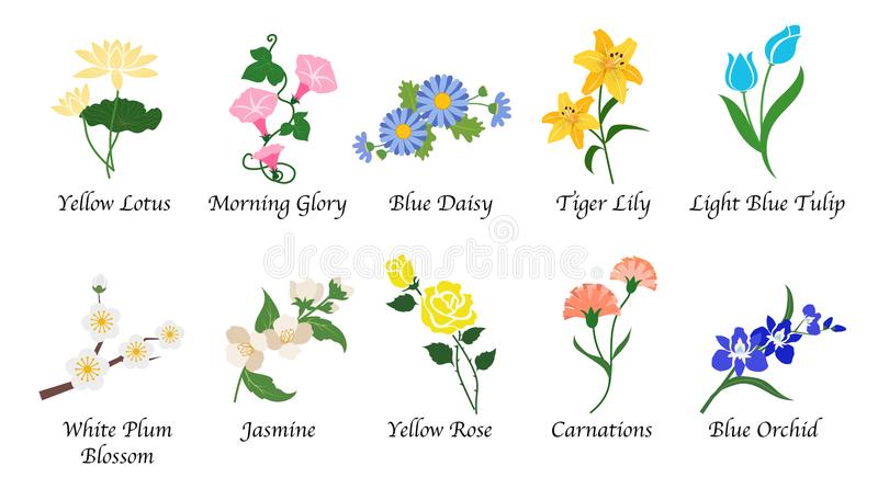 xingkong体育官网登录