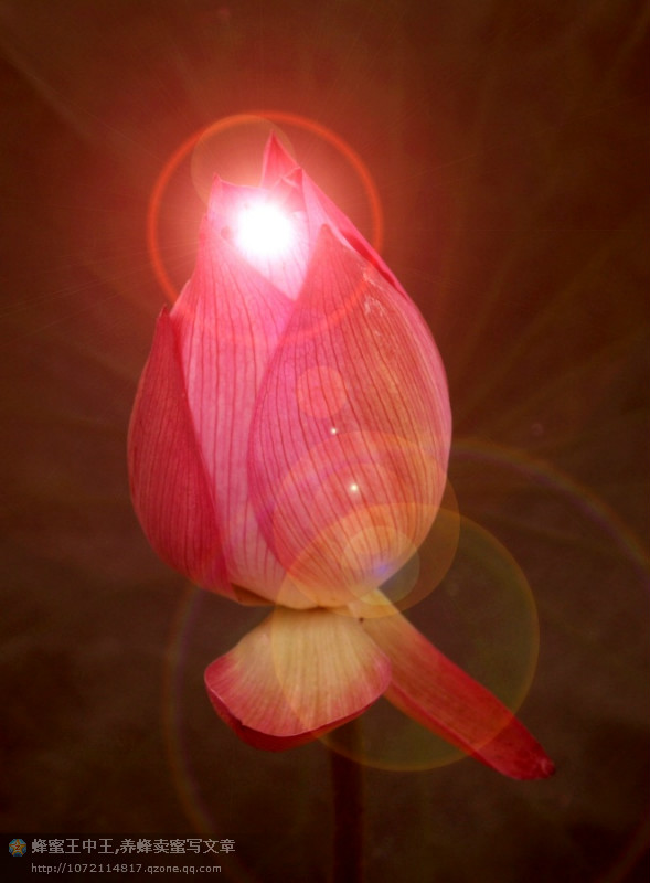 星空体育官网-推荐:28部经典一战影戏(图1) xingkong体育官网登录