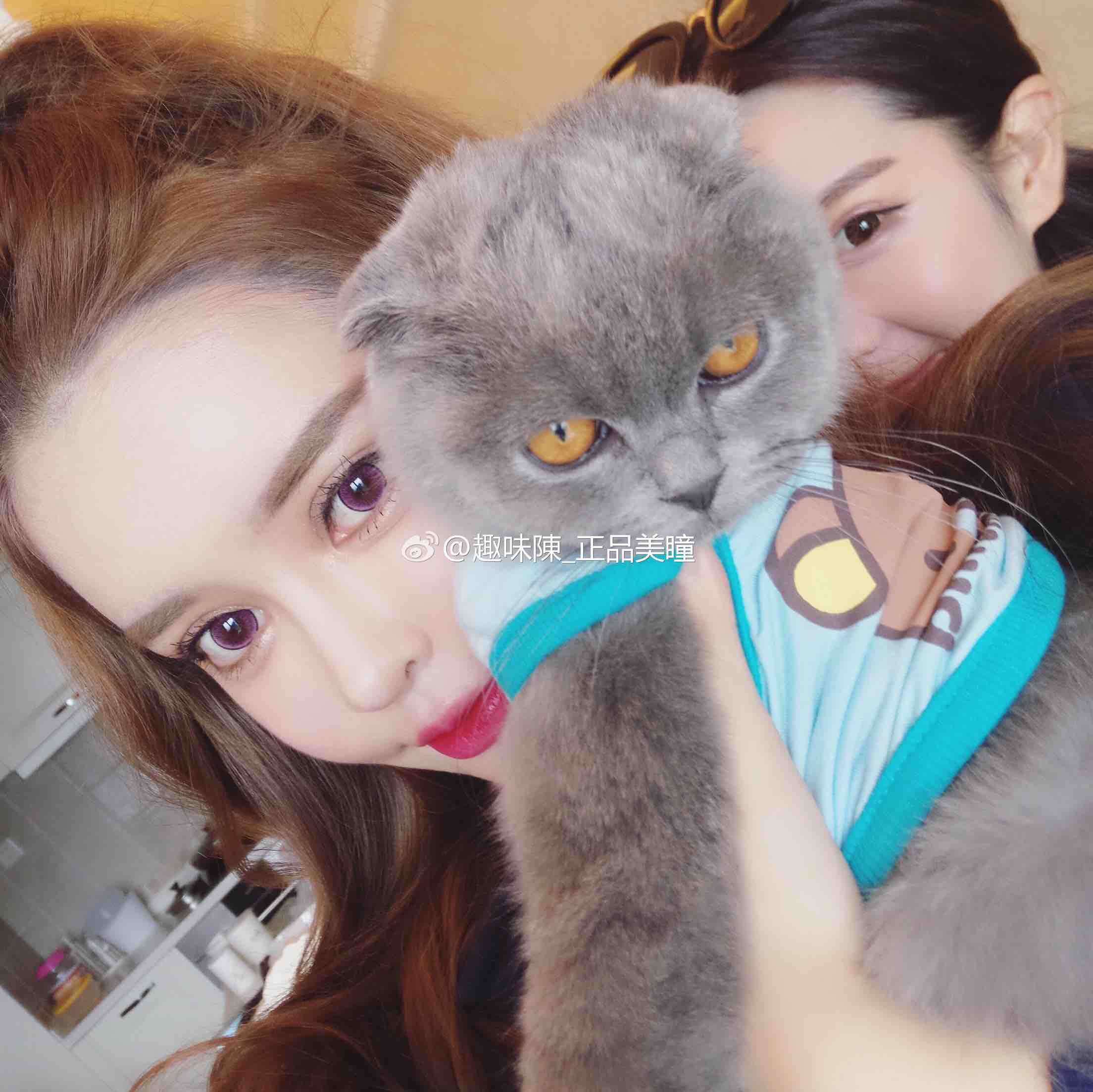 ‘星空体育官网’南京警方公布肇事宝马车速195.2km/h 接近高铁时速(图)(图3)