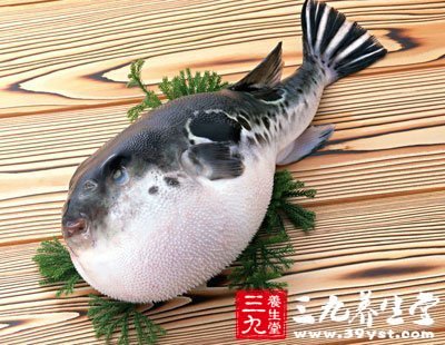 ‘xingkong.com’宝华洲社区：学习中国功夫 弘扬中华武术(图2)