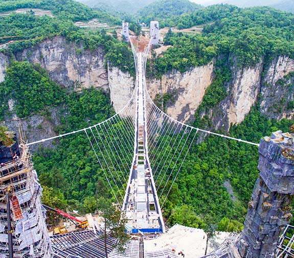 
【刊期更新】畜牧兽医类、农林类【星空体育官网】(图2)