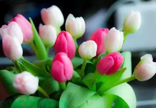 明珠社区：病毒无情　党员有爱【星空体育官网】(图2)