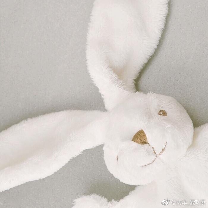 “星空体育官网”谷歌被曝干涉美大选美网友：真正威胁在美国本土(图1)